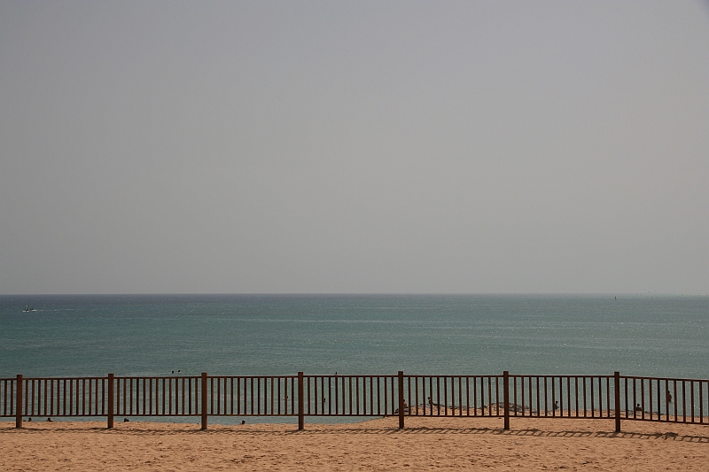 Kanary_2010 014